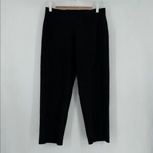 Eileen Fisher Black Stretch Pull-On Pants Women’s Large